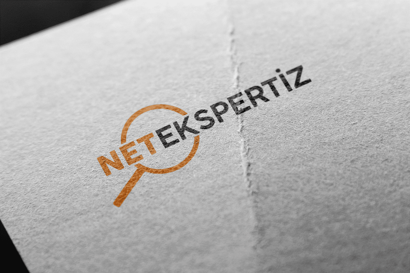 Net Ekspertiz Logo Tasarımı